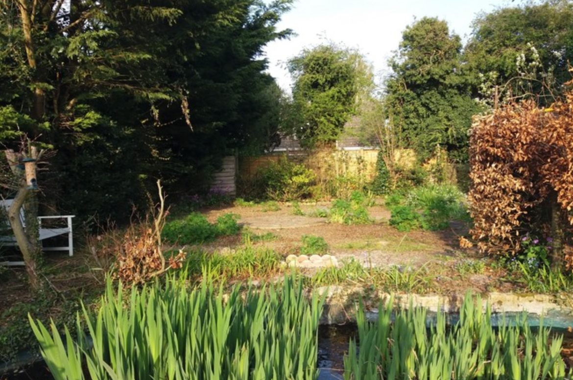 Huge Garden Plot in Norwich